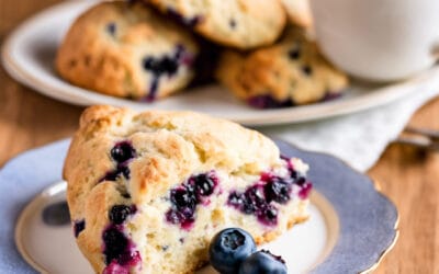 Homepage - Outrange Homestead 8 - Outrange Homestead Fresh Blueberry Buttermilk Scones