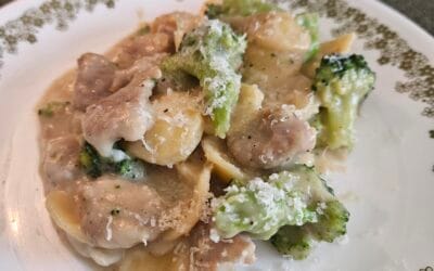 Delicious One-Pot Sausage Orecchiette Pasta
