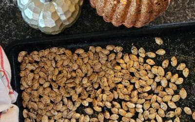 Homepage - Outrange Homestead 2 - Outrange Homestead Perfectly Roasted Pumpkin Seeds