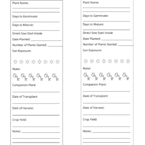 10 Essential Steps From Seed to Harvest - A Cheerful Beginners Guide to Gardening and Self-Sufficiency - Image 4