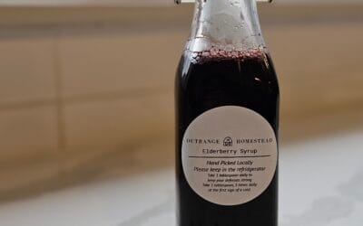 Easy Homemade Elderberry Syrup (Fresh or Dried Berries) – A Simple Immune-Boosting Recipe by Outrange Homestead