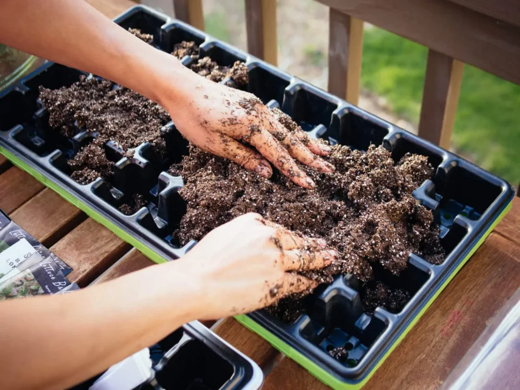 How to Start Seeds Indoors: A Simple Beginner’s Guide to Growing Strong Garden Seedlings 7 - Outrange Homestead fillingseedtrayswithdirt - Outrange Homestead