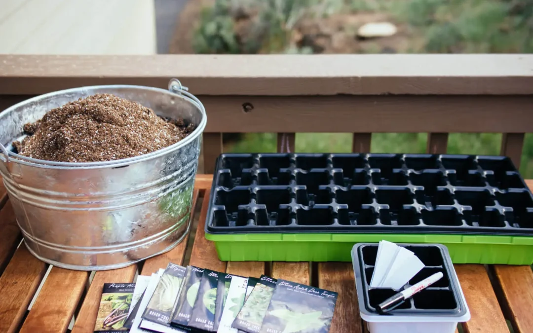 How to Start Seeds Indoors: A Simple Beginner’s Guide to Growing Strong Garden Seedlings